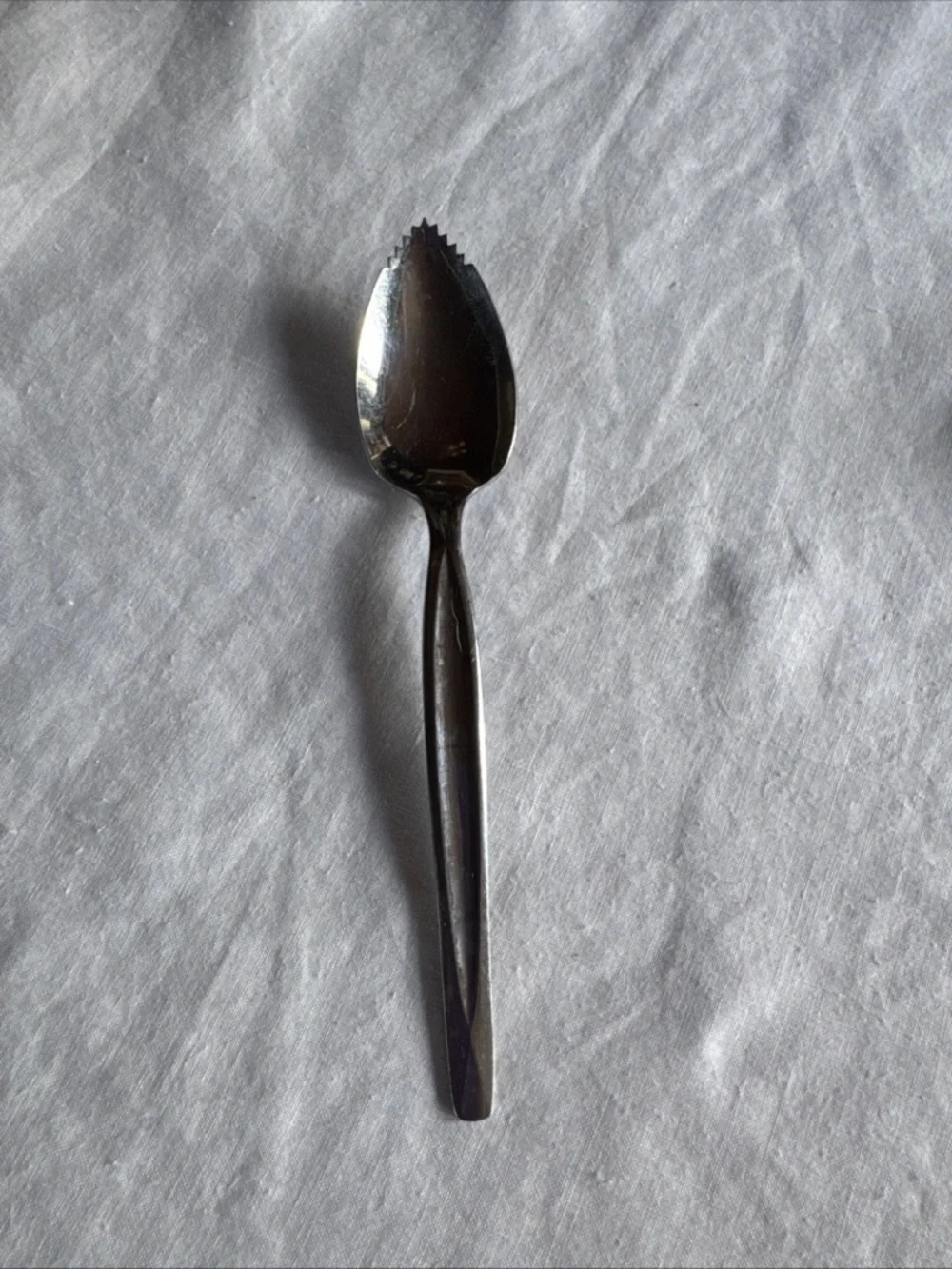 Wm Rogers Stainless Steel Plate Grapefruit Spoons with Serrated Edge Set of 2